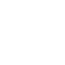 premium quality icon