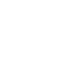 fast & convenient icon