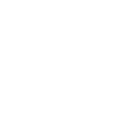 location icon white
